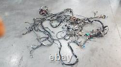 1999 Chevy Camaro SS Chassis Wiring Harness #0535 D1
