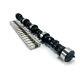 Stage 2 Chevy Sbc 350 5.7l Hp Rv 420/433 Lift Cam Camshaft & Lifters Kit Torque