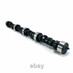 Stage 2 Chevy SBC 350 5.7L HP RV 420/433 Lift Cam Camshaft & Lifters Kit Torque