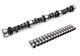Stage 3 Hp Rv Camshaft & Lifters For Chevrolet Sbc 350 5.7l 480/480 Lift